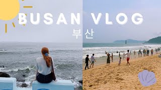BUSAN, KOREA VLOG 🐟  Summer Street Food and Haeundae