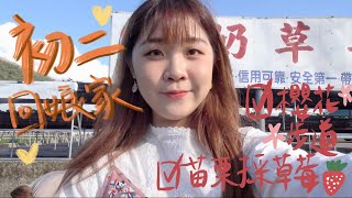 過年Vlog✨初二回娘家｜超豐盛年菜｜苗栗大湖採草莓🍓｜櫻花步道🌸