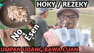 Toturial Umpan Ikan Mas Lomba !! Udang Hidup No Esen !! Tes Langsung Lomba Mingguan