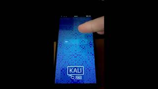 Kali Nethunter Pro apps setup on Pinephone