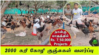 ஏழு லட்சம் ரூபாய் project / 2000 ஆயிரம் கோழிகள் வளர்ப்பு ??