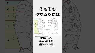 【生物界でコイツだけおかしいよな？】どうみても神の仕事としか思えない生物クマムシの雑学