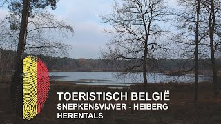 België | Snepkensvijver - Heiberg | Herentals