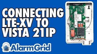 Connecting an LTE-XV to a VISTA-21iP