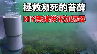 DIY無線供電加濕器，拯救懶癌症下瀕臨死亡的苔蘚。|DIY wireless power humidifier to save dying moss.