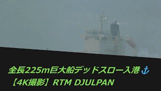 全長225m巨大船デッドスロー入港⚓【4K撮影】RTM DJULPAN