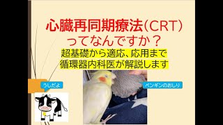 心臓再同期療法CRTってなんですか？(超基礎から適応、応用まで循環器内科医が解説します)