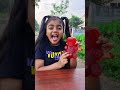 giant gummy teddy jelly 🍓😱tom u0026jerry 🤣diyaishwarya shorts viralvideo