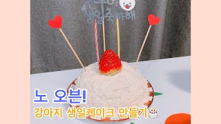 노오븐! 초간단! 강아지 생일케이크 만들기 | 만두견생일기#10 | 포메라니안 만두 | 강아지케이크만들기