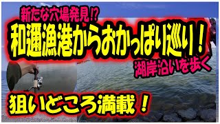 バス釣り【琵琶湖おかっぱり】和邇漁港横から湖岸を歩いて散策！車では行けない穴場スポットを求めて【ヘビダン】