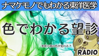 【はじめてでもわかる東洋医学】四診：望診（顔色から読み解く五色診）【音声解説RADIO】