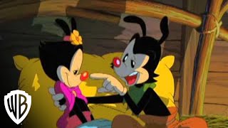 Steven Spielberg Presents Animaniacs | Wakko's Wish - The Story | Warner Bros. Entertainment