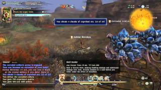 Let's Play Final Fantasy XIV [029] What? You can Lower the Difficulty of a Leve Quests Mid Leve?