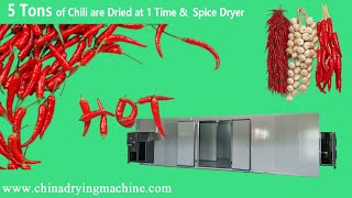 Preferential price-Chili pepper Dryer  with Large capacity of 5 tons