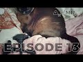 A💤MR on Zed Digital - Episode 13 (soft spoken ASMR, car maintenance tutorial, reading, piano)