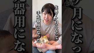 【33日目】生後7ヶ月の赤ちゃんの手先が器用になって目が離せません#shorts #100日後にポルシェを買う無職