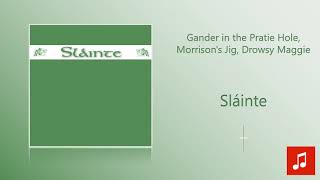 Sláinte - Gander in the Pratie Hole, Morrison's Jig, Drowsy Maggie