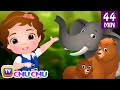 Going To the Forest | Wild Animals for Kids and More Learning Songs & Nursery Rhymes by ChuChu TV