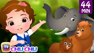 Going To the Forest | Wild Animals for Kids and More Learning Songs \u0026 Nursery Rhymes by ChuChu TV