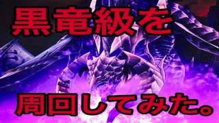 【ドラプロ】黒竜級を周回してきた〜解説付き〜