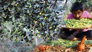 Primitive Survival: Finding Jujube Fruit in Wild - Natural Jujube Fruits Eating Delicious