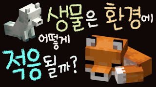 생물은 환경에 어떻게 적응될까요?  ■주요개념: 적응 [초등 과학 5학년 2학기 2단원 7차시 ]