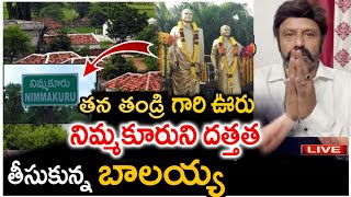 నిమ్మకూరును దత్తత తీసుకున్న బాలయ్య|balayya adopt nimmakuru village|Telugu cinema samacharam|balayya|