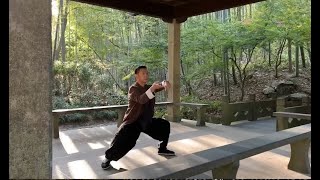 经典传统陈氏太极拳分享Sharing of Chen's Taijiquan Exercised by Teacher Huang Shan