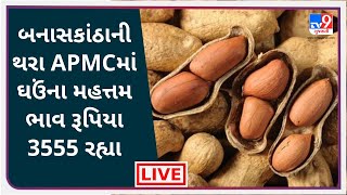 Mandi : બનાસકાંઠાની થરા APMCમાં ઘઉંના મહત્તમ ભાવ રૂપિયા 3555 રહ્યા | Tv9News