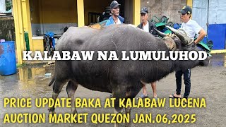 Price Update ng mga Baka at Kalabaw!! Lucena Auction Market Quezon