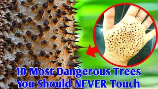 10 Most Dangerous Trees You Should NEVER Touch
