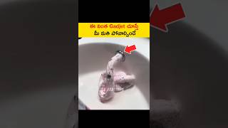 😱మీ మతి పోవాల్సిందే | Most Interesting Facts | #shorts #telugufacts