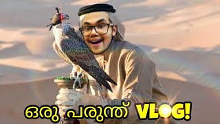 വീട്ടിൽ വരുന്ന പരുന്ത് ! | Welcome to an Eagle Vlog 🦅🦅