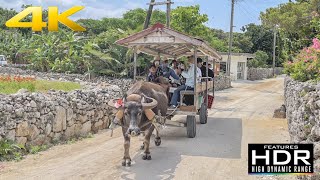 🏝️ [4K HDR] Let's Explore Taketomi Island In Okinawa, Traditional Ryukyu Village \u0026 Beautiful Beaches