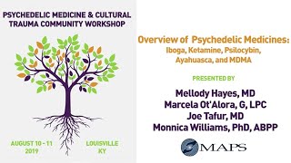 Panel Overview of Psychedelic Medicines: Iboga, Ketamine, Psilocybin, Ayahuasca, and MDMA