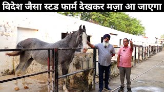 सरदार जी का विदेश जैसा Stud Farm | Horse Farming | Horse Farm In India