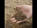 critical ground new report looks at the state of soil health in canada