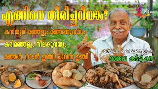 വഞ്ചിതരാകേണ്ട! എങ്ങിനെ തിരിച്ചറിയാം?  കസ്തൂരിമഞ്ഞൾ, കരിമഞ്ഞൾ, നീലക്കൂവ, മഞ്ഞക്കൂവ | Gopu Kodungallur