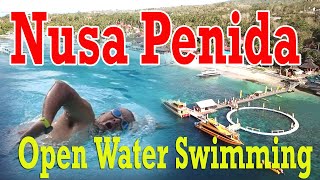 BERENANG DI Nusa Penida | Pelabuhan Buyuk | Open Water Swimming