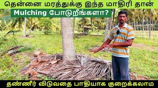 🌴தென்னை மரத்துக்கு இந்த மாதிரி தான் mulching போடுறீங்களா? | Coconut Mulching Benefits in Tamil