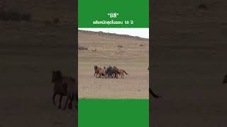 “ชิลี” แล้งหนักสุดในรอบ 50 ปี | TNN EARTH | 10-02-23