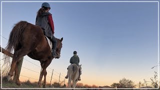 Beautiful Evening Riding Horses