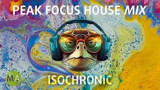 Peak Focus For Complex Tasks House Turtle Mix with Isochronic Tones