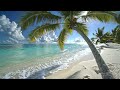 Calming 🌴 Ocean Waves & Nature Sounds for Study & Focus 12H 4K 🌊