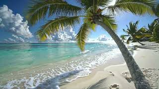Calming 🌴 Ocean Waves & Nature Sounds for Study & Focus 12H 4K 🌊