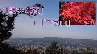 山歩き『椿井城跡＋三室山』（奈良県）