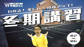 【ワセダの冬期講習／小学生編】めんどう見のよさ抜群！わかる！楽しい！成績アップ🎵冬期講習説明会も好評受付中です！#w早稲田ゼミ #ワセダゼミ #学習塾  #冬期講習 #群馬 #栃木 #埼玉