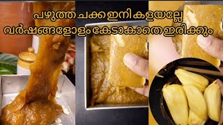 വർഷങ്ങളോളം കേടാകാതെ ഇരിക്കും ഇനി ചക്ക//How to preserve jackfruit//#jackfruit #chakka//jackfruit pulp