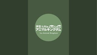 大人なんでちゃんと許可いただきました😁