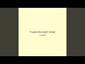 Fragile Moonlight Velvet